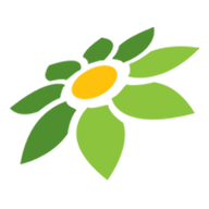 ML DG